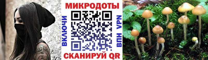 Псилоцибиновые грибы MAGIC MUSHROOMS  где продают наркотики  нарко площадка состав  Кохма 